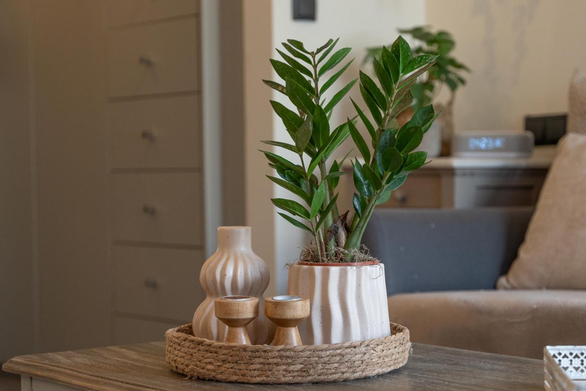 Ixia Home Extérieur photo